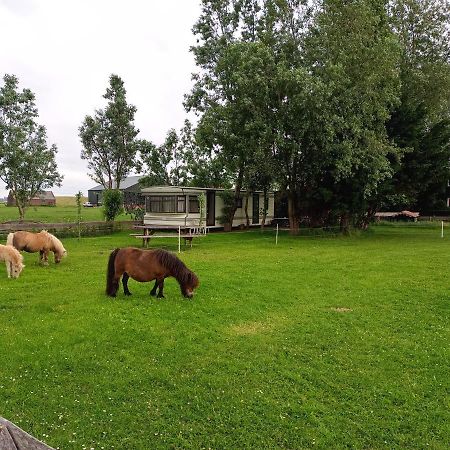 Assendelft De Boerenskuur..Chalet.. מראה חיצוני תמונה